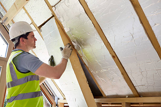 Best Specialty Insulation in Lindsay, OK